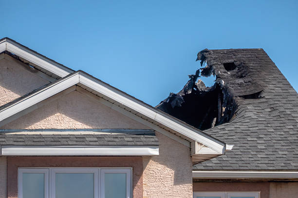 Top rated local Firefighting Water Removal specialists in Mayer, AZ